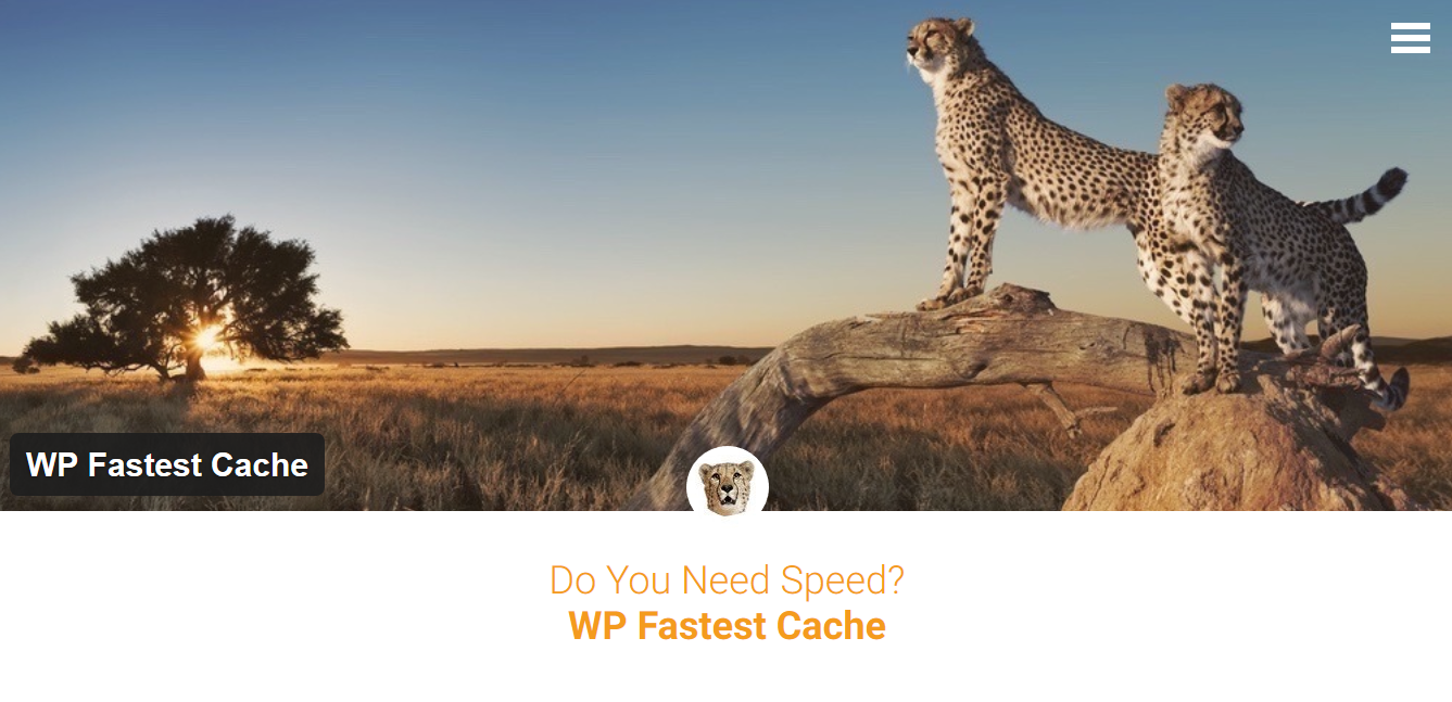 WP Fastest Cache