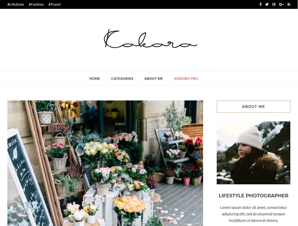 blogging theme